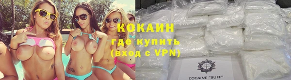 стаф Алзамай